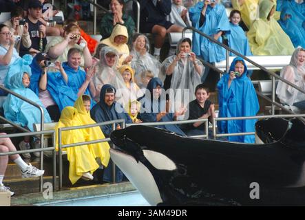 21. März 2004 - USA - KRT US NEWS STORY SLUGGED: ENV-MARINEANIMALS KRT FOTO VON ANGEL VALENTIN/SOUTH FLORIDA SUN-SENTINEL (MIAMI OUT) (23. Mai) in der Soak Zone des Shamu Stadions in Floridas SeaWorld Orlando bestaunen Familien die Killerwale, die bei jeder Show aus dem Wasser gleiten. (Mvw) 2004 (Bild: © Angel Valentin/mct/ZUMAPRESS.com) Stockfoto
