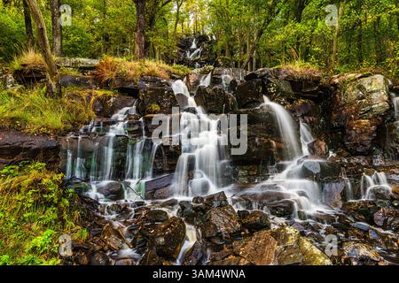 Das Wasser fließt sanft über Felsen und bildet eine Reihe kleiner Wasserfälle in einer ruhigen schwedischen Landschaft. Die Gegend ist reich an üppiger Vegetation und natürlicher Natur Stockfoto