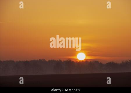 Norfolk Sonnenaufgang Orange Glow Morgenhimmel nebelige Bäume Silhouette Stockfoto