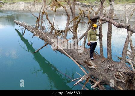 8. September 2004 - USA - KEINE MAGIE, KEINE VERKÄUFE -- KRT US NEWS STORY SCHLEPPTE: ENV-QUEETS KRT FOTO VON STEVE RINGMAN/SEATTLE TIMES (3. Februar) der Forscher Tom O'Keefe hält ein Lasermessgerät in der Hand und läuft an einem Holzstamm entlang, der über einem tiefen Becken hängt, das vom Queets River im Bundesstaat Washington geschnitzt wurde. (Mvw) 2005 (Bild: © Steve Ringman/mct/ZUMAPRESS.com) Stockfoto