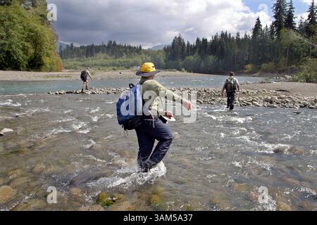 8. September 2004 - USA - KEINE MAGIE, KEINE VERKÄUFE -- KRT US-NACHRICHTEN SCHLEPPTE: ENV-QUEETS KRT FOTO VON STEVE RINGMAN/SEATTLE TIMES (3. Februar) der Feldtechniker Nick Hurtado führt die Forscher Tom O'Keefe und Josh Latterell der University of Washington durch den Queets River im Bundesstaat Washington. (Mvw) 2005 (Bild: © Steve Ringman/mct/ZUMAPRESS.com) Stockfoto