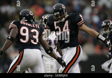 23. Oktober 2005 - USA - KRT SPORTS STORY SLUGGED: FBN-RAVENS-BEARS KRT FOTO VON JIM PRISCHING/CHICAGO TRIBUNE (23. Oktober) CHICAGO, IL - Chicago Bears Defensive End Adewale Ogunleye (93) und Linebacker Brian Urlacher (54) feiern in der zweiten Halbzeit einen Sack von Baltimore Ravens Quarterback Anthony Wright. Die Bären besiegten die Ravens mit 10:6. Im Soldier Field in Chicago, Illinois, Sonntag, 23. Oktober 2005. (cdm) 2005 (Bild: © Jim Prisching/mct/ZUMAPRESS.com) Stockfoto