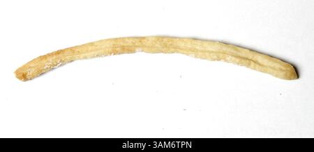 6. November 2005 – USA – Jennifer Behar backt Biscotti und Brotstangen, wie gezeigt, am 6. November 2005 in ihrem Haus in Coral Gables, Florida. Behar's Gourmet-Biscotti und Brotsticks sind in den Regalen von 10 Märkten in South Florida sowie in einer Handvoll von Geschäften in Kalifornien und Texas. (Al Diaz/Miami Herald/KRT) (Bild: © Al Diaz/mct/ZUMAPRESS.com) Stockfoto