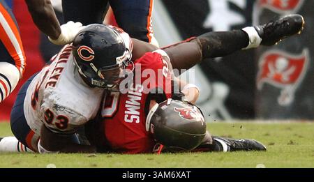 27. November 2005 - USA - KRT SPORTS STORY SLUGGED: FBN-BEARS-BUCS KRT FOTO VON GARY W. GREEN/ORLANDO SENTINEL (MIAMI OUT) (27. November) TAMPA, FL - Chicago Bears Defensive End Adewale Ogunleye (93) verlässt Tampa Bay Quarterback Chris Simms im vierten Quartal. Die Bears besiegten die Buccaneers mit 10:13, am Sonntag, den 27. November 2005, im Raymond James Stadium in Tampa, Florida. (cdm) 2005 (Bild: © Gary W. Green/mct/ZUMAPRESS.com) Stockfoto