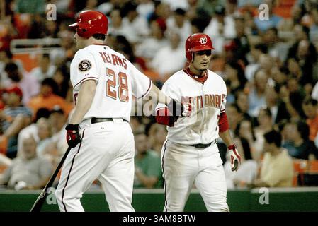25. Juli 2006 – der Shortstop Felipe Lopez (7) der Washington Nationals wird von Austin Kearns (28) gratuliert, nachdem er am Dienstag, den 25. Juli 2006, im RFK Stadium in Washington D.C. bei NIC Johnsons Single in der untersten Hälfte des dritten Punktes erzielte. (Mauricio Rubio/MCT) (Bild: © Mauricio Rubio/mct/ZUMAPRESS.com) Stockfoto