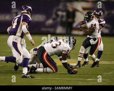 24. September 2006: Chicago Bears Defensive End Adewale Ogunleye (93) nimmt im vierten Quartal einen Minnesota Vikings Fumble auf. Am Sonntag, den 24. September 2006, besiegten die Bears die Vikings im Metrodome in Minneapolis, Minnesota. (Jim Prisching/Chicago Tribune/MCT) (Bild: © Jim Prisching/mct/ZUMAPRESS.com) Stockfoto