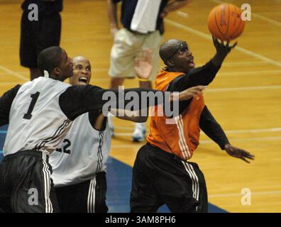 4. Oktober 2006 – USA – Orlando Magic Forward Bo Outlaw, Right, kämpft am Mittwoch, 4. Oktober 2006, gegen Trevor Ariza (1) und Kasib Powell um einen losen Ball während des Trainingslagers des Teams in Jacksonville, Florida. (Stephen M. Dowell/Orlando Sentinel/MCT) (Kreditbild: © Stephen M. Dowell/mct/ZUMAPRESS.com) Stockfoto