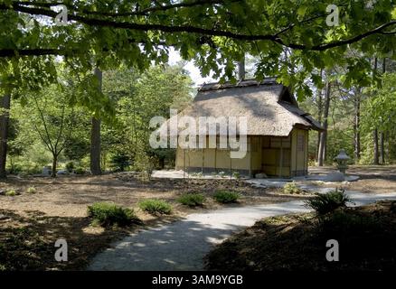 2. Mai 2007: Swallow's Rest, eine Nachbildung eines japanischen Teehauses aus dem 16. Jahrhundert, wurde in Newport News Park in Newport News, Virginia, verlegt. Das Haus wurde von Jamison Ditto, einem Zimmermann des Newport News Parks and Recreation Department, repariert und ist von einer neuen Landschaftsgestaltung umgeben, die von Susan Turner und Yvonne Tung entworfen wurde, die Co-Vorsitzenden des japanischen Gartenkomitees sind. (Adrin Snider/Newport News Daily Press/MCT) (Bild: © Adrin Snider/mct/ZUMAPRESS.com) Stockfoto