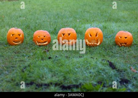Fünf halloween Kürbis im Gras Stockfoto