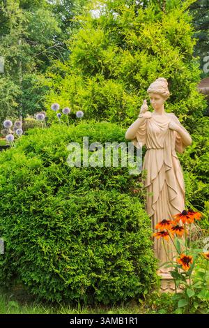 Thuja occidentalis 'Little Giant' - Zeder, Rudbeckia 'Rising Sun Chestnut Gold' - Sonnenhut, Echinops ritro 'Blue Globe' - Kugeldisteln im Randbeet. Stockfoto