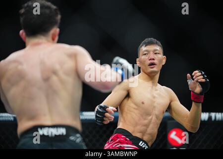 Miami, Fl, Usa. April 2025. MIAMI, FL - 12. APRIL: Sumudaerji und Mitch Raposo treffen sich im Achteck für einen 3-Runden-Kampf bei UFC 314 - Volkanovski vs Lopes im Kesaya Center am 12. April 2025 in Miami, FL (Foto: Louis Grasse/PxImages) Credit: PX Images/Alamy Live News Stockfoto