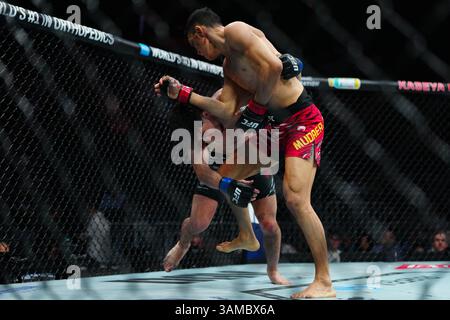 Miami, Fl, Usa. April 2025. MIAMI, FL - 12. APRIL: Sumudaerji und Mitch Raposo treffen sich im Achteck für einen 3-Runden-Kampf bei UFC 314 - Volkanovski vs Lopes im Kesaya Center am 12. April 2025 in Miami, FL (Foto: Louis Grasse/PxImages) Credit: PX Images/Alamy Live News Stockfoto