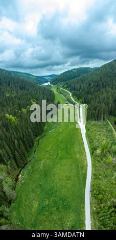 Vertikales Panorama mit Straße im Schwarzwald, Deutschland, unter bewölktem Himmel Stockfoto