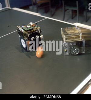29. Februar 2000 - USA - KRT US NEWS STORY SLUGGED: SC-ROBOTER KRT FOTO VON FRANK DIMEO/CORNELL UNIVERSITY (KRT16) ITHACA, NEW YORK 29. Februar-- zwei von Big Rots winzigen, aber unglaublich intelligenten Robotern zeigen, wie man einen Ball auf einem Spielfeld dribbelt. Teams von fahrbaren Robotern lernen Fußball zu spielen, Müll zu sammeln, Möbel zu bewegen, einen Raum oder ein Feld zu kartieren. Bis 2050 hoffen die Enthusiasten auf ein Roboterteam, das intelligent und agil genug ist, um die Weltmeister des menschlichen Fußballs zu besiegen. (KRT) AP PL BL KD 2000 (Vert) (lde) (Kreditbild: © Cornell University/mct/ZUMAPRESS.com) Stockfoto