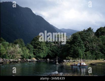 29. Juni 2001 - USA - KRT WORLD NEWS STORY SLUGGED: CHILE KRT FOTO VON HELEN HUGHES/KRT (2. Juli) der Eingang zum Douglas Thompkins Pumalin Park in Caleta Gonzalo, Chile. (KRT) NC KD BL 2001 (HORIZ.) (kn) (Bild: © PHOTOGNOSOURCE/mct/ZUMAPRESS.com) Stockfoto