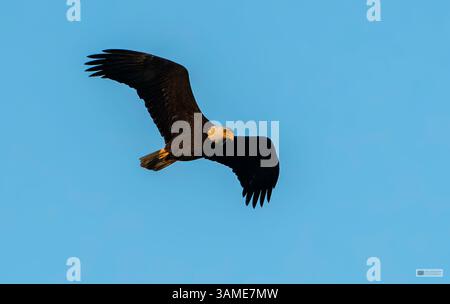 Flug Stockfoto