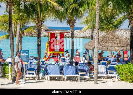 Großartiges Stirrup Cay die Bahamas, Meeresschildkröten nistenden Strand Schild, Umweltschutzhinweis, blaues lehrreiches Schild, Palmen Strand Lage Küste Stockfoto