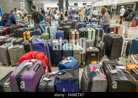 Miami Florida, Dodge Island, Hafen von Miami, Norwegian Cruise Line NCL Terminal B, Breakaway Kreuzfahrtschiff Rückkehrpassagiere, Gepäckausgabe Bereich, PA Stockfoto