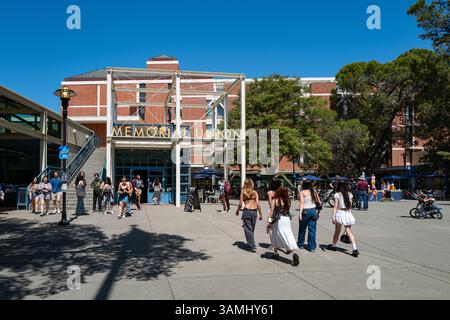 Junge Menschen laufen während des Picnic Day, der jährlichen Open House-Veranstaltung der Universität, in Richtung Memorial Union Building auf dem Campus von U.C. Davis. Stockfoto