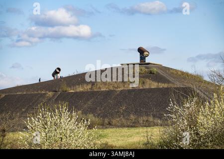 Rungenberg Spoil tip im Stadtteil Buer, Nachtschilderbeleuchtung, Gelsenkirchen, Nordrhein-Westfalen, Deutschland, Europa Stockfoto