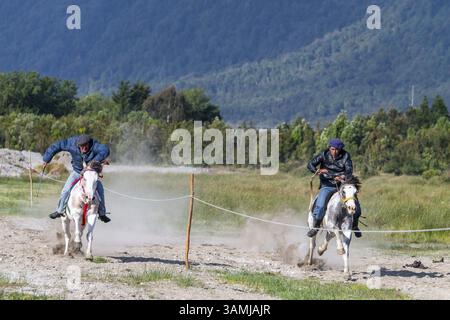 Zwei Männer galoppieren Seite an Seite auf ihren Pferden bei einem Gaucho-Pferderennen, Chaiten Village, Pumalin-Douglas Tompkins National Park, Chaiten, Los Lagos reg Stockfoto