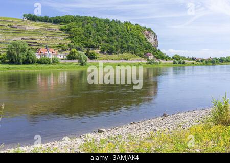 Elbe vor der Boselspitze und dem Weingut Rote Presse im Spaargebirge, Meißen, Sachsen, Deutschland, Europa Stockfoto