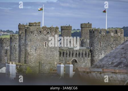 Conwy Castle, mittelalterliche Burg mit Türmen und Fahnen in städtischer Umgebung, Conwy, Wales, Großbritannien, Europa Stockfoto