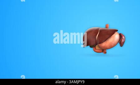 Menschliche Verdauungsorgane mit Copyspace Stockfoto