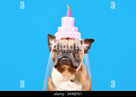 Niedlicher französischer Bulldog Hund mit Geburtstagsparty Kuchen Hut auf blauem Hintergrund Stockfoto