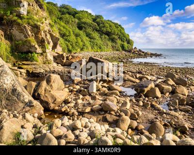 Hayburn Wyke, ein felsiger Strand, der über einen Waldweg erreicht wird, in North Yorkshire, Großbritannien Stockfoto