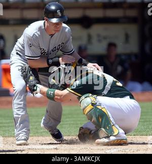 14. Mai 2014 - Oakland, KALIFORNIEN, USA - der Oakland Athletics-Catcher Derek Norris (36) beschreitet Gordon Beckham (15) der Chicago White Sox im fünften Inning ihres Spiels im O.Co Coliseum in Oakland, Kalifornien, Mittwoch, 14. Mai 2014. (Kreditbild: © Anda Chu/MCT/ZUMAPRESS.com) Stockfoto