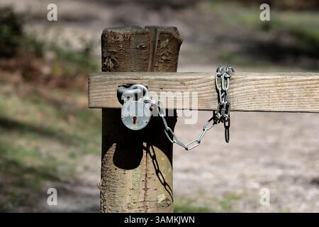 Ein Vorhängeschloss und eine Kette aus Metall sichern ein hölzernes Absperrtor auf einem Kiesweg im New Forest Stockfoto