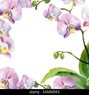 Quadratischer Aquarellrahmen mit rosa und lila Orchideenblüten, Knospen und grünen Blättern, handgezeichnete tropische Pflanze, Blumenskizze mit Blütenblumen, botan Stockfoto