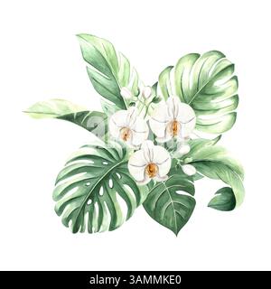 Tropische Blätter und weiße Orchideenblüten isolierte Illustration für Sommer-Regenwald-Designs. Handgezeichnete grüne Monstera, phalaenopsis Stockfoto