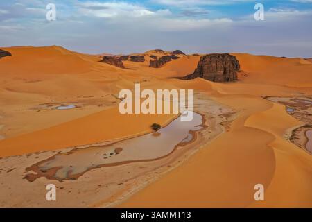 Luftaufnahme einer Oase in der Sahara bei Sonnenuntergang, Djanet, Algerien, Afrika. Stockfoto