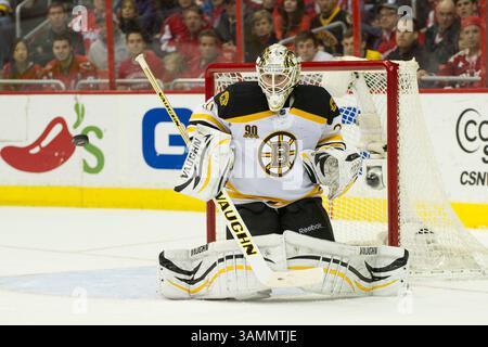 März 2014 – Washington D.. C, District of Columbia, U.. S - 29. März 2014: Boston Bruins Torwart Chad Johnson (30) spielt im Verizon Center in Washington, D.C. die Boston Bruins besiegen die Washington Capitals mit 4:2. (Kreditbild: â Kostas Lymperopoulos/Cal Sport Media)(Kreditbild: © Kostas Lymperopoulos/Cal Sport Media/ZUMAPRESS.com) Stockfoto