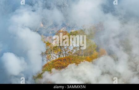 Blick aus der Vogelperspektive auf das atemberaubende Tal der Geysire, umgeben von üppigen Bäumen und mystischem Nebel, Kamtschatka, Russland. Stockfoto