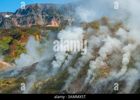 Blick aus der Vogelperspektive auf das wunderschöne Tal der Geysire mit dampfenden Geysiren und zerklüfteten Bergen, Kamtschatka, Russland. Stockfoto