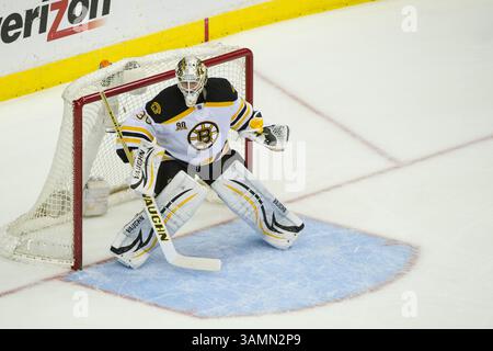 März 2014 – Washington D.. C, District of Columbia, U.. S - 29. März 2014: Boston Bruins Torwart Chad Johnson (30) spielt im Verizon Center in Washington, D.C. die Boston Bruins besiegen die Washington Capitals mit 4:2. (Kreditbild: â Kostas Lymperopoulos/Cal Sport Media)(Kreditbild: © Kostas Lymperopoulos/Cal Sport Media/ZUMAPRESS.com) Stockfoto