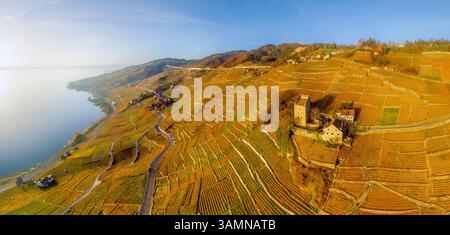 Blick aus der Vogelperspektive auf Weinberge und Genfersee, Schweizer Riviera, Schweiz Stockfoto