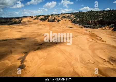 Aus der Vogelperspektive der rosa Sanddünen in einer riesigen Wüstenlandschaft, Kanab, USA. Stockfoto