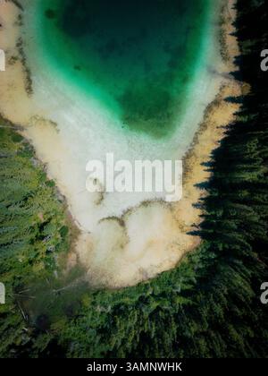 Blick aus der Vogelperspektive auf den farbenfrohen Johnson Lake mit türkisfarbenem Wasser, umgestürzten Bäumen und ruhigen Schatten, Louis Creek, Kanada. Stockfoto