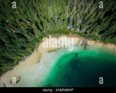 Aus der Vogelperspektive farbenfrohe abstrakte Muster des Johnson Lake mit türkisfarbenem Wasser und umliegenden Wäldern, Louis Creek, Kanada. Stockfoto