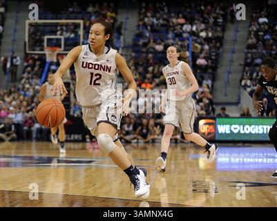 19. Februar 2014 - Hartford, CT, USA - die Connecticut Huskies-Garde Saniya Chong (12) stiehlt den Ball in der ersten Halbzeit gegen die Central Florida Knights im XL Center in Hartford, USA, am Mittwoch, 19. Februar 2014. Huskies gewann 83:35. (Kreditbild: © John Woike/MCT/ZUMAPRESS.com) Stockfoto