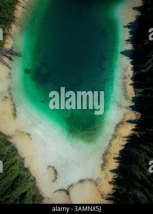 Blick aus der Vogelperspektive auf Johnson Lake mit türkisfarbenem Wasser, farbenfrohen Mustern und umgestürzten Bäumen, Louis Creek, Kanada. Stockfoto