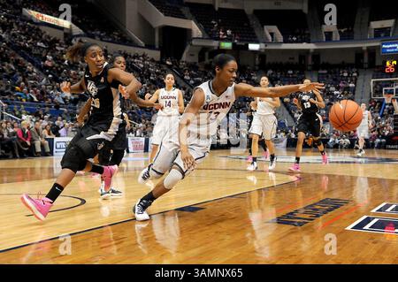 19. Februar 2014 - Hartford, CT, USA - die Connecticut Huskies-Wächterin Brianna Banks (13) trifft am Mittwoch, 19. Februar 2014, im XL Center in Hartford, Konn., gegen die Central Florida Knights Stürmer Sara Djassi (20). Huskies gewann 83:35. (Kreditbild: © John Woike/MCT/ZUMAPRESS.com) Stockfoto