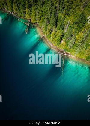 Blick aus der Vogelperspektive auf den ruhigen Johnson Lake mit türkisfarbenem Wasser und umgestürzten Bäumen, umgeben von üppigen Wäldern, Louis Creek, Kanada. Stockfoto