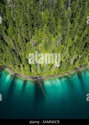 Blick aus der Vogelperspektive auf den ruhigen Johnson Lake mit türkisfarbenem Wasser und umgestürzten Bäumen, umgeben von üppigen Wäldern, Louis Creek, Kanada. Stockfoto