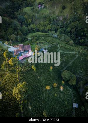 Blick aus der Vogelperspektive auf die üppige Kaffeeplantage und das Dorf in Salento, Quindio, Kolumbien. Stockfoto