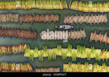 Aus der Vogelperspektive sehen Jute, die entlang des Flusses mit Booten und Mustern in der Landschaft, Piprul, Natore, Rajshahi, Bangladesch. Stockfoto